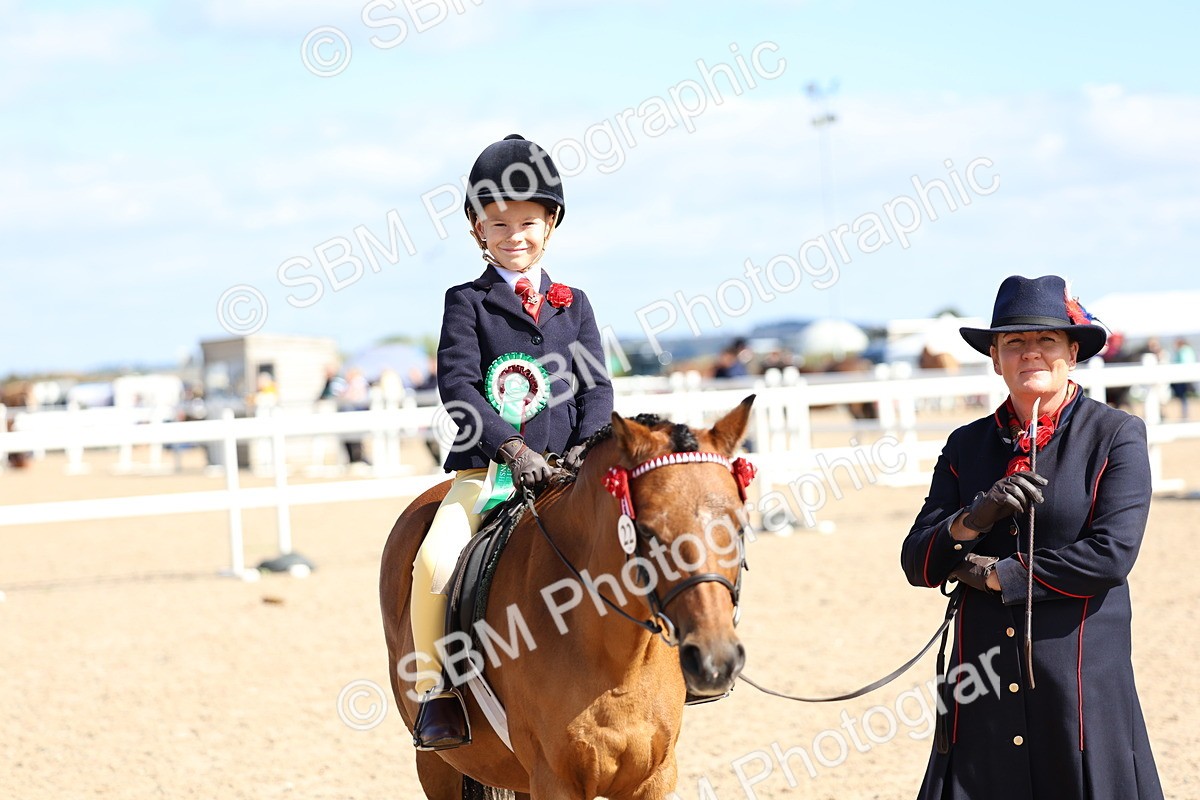 SBM_13120 - Class 309 - Lead Rein Pony