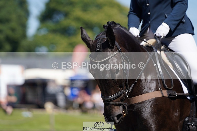 240719-103428-00620 - 139-Jasmine_Mumford-Northcountry_George