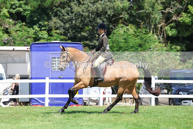 3E7A8972 - Class 6: Open Working Horse