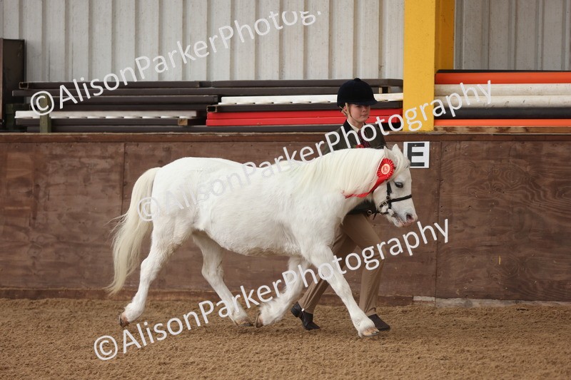 20251109-0563 - Class 21 - Mares 4 Years and over