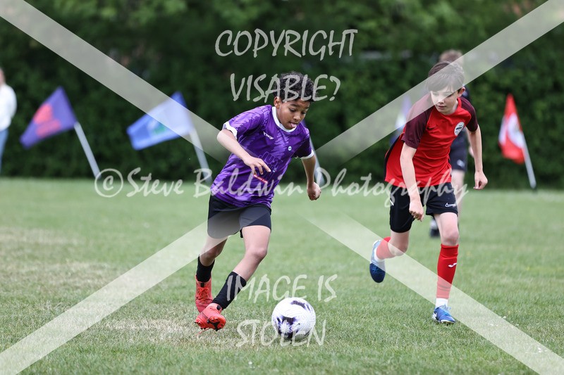 1DX31176 - Brook Field V Goddard Park
