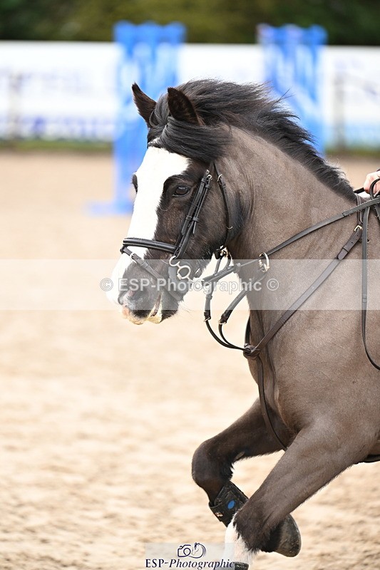 260222A-113107-00636 - 50cm All sections