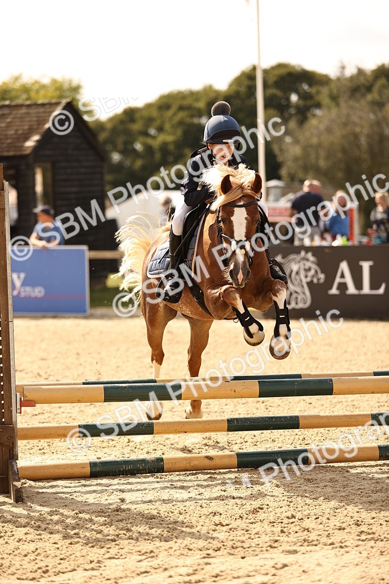 SBM_67017 - J13 - Junior Pony 60cm Championship