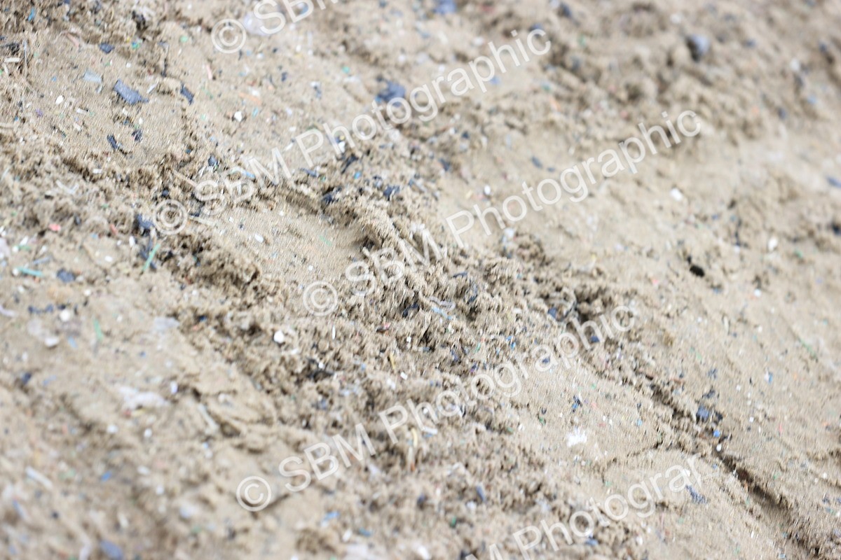 SBM_006881 - Class 29 - 30 - M&M Pure Novice Small-Large Breeds