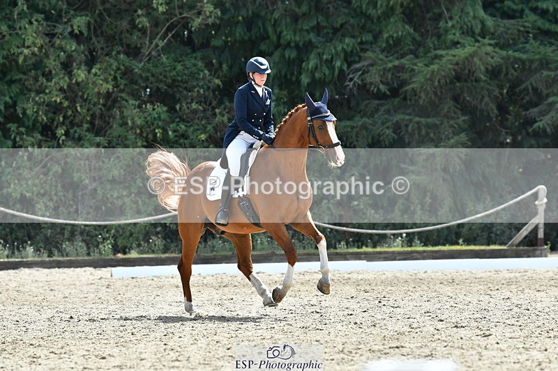 260802A-151837-07356 - Intermediate Bronze