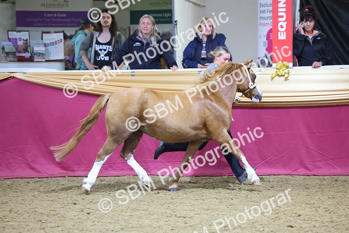 SBM_18943 - Class F Grass Roots Champ