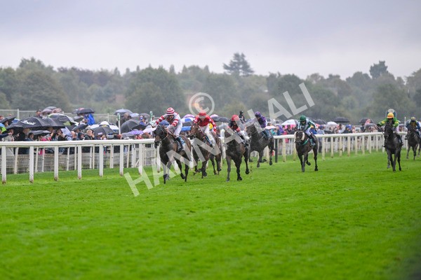 080924-Race 7-Young Fire-9676 - Race 7 5.10pm Elevator Company Amateur Jockeys' Handicap