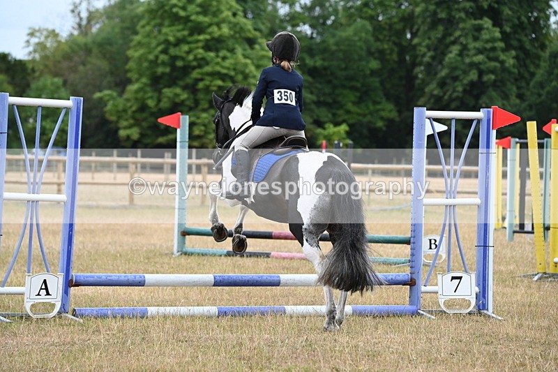 WJ6_9378 - Class 12 Minimus Jumping 45cm