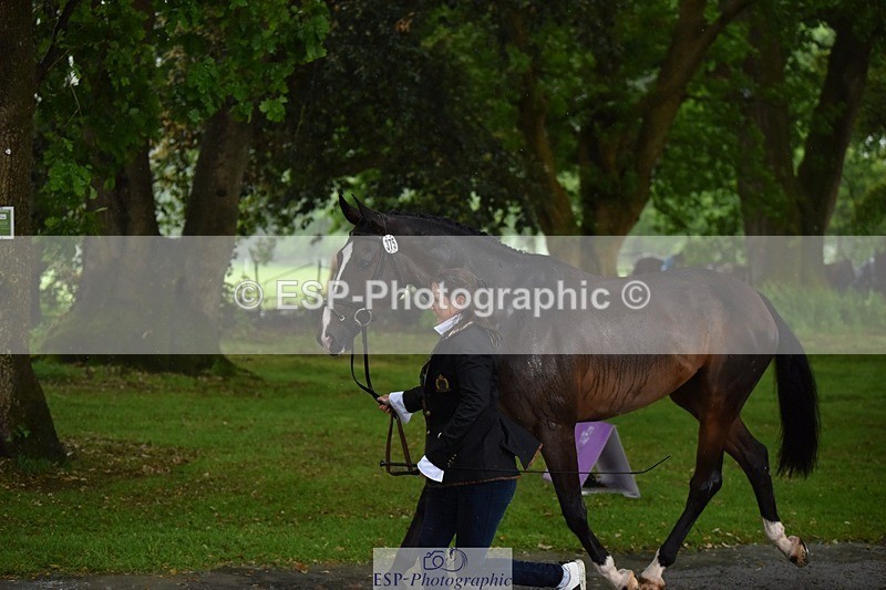 240522-151744-00231 - 375-DASSETT_ARTHALENT-Piggy_March