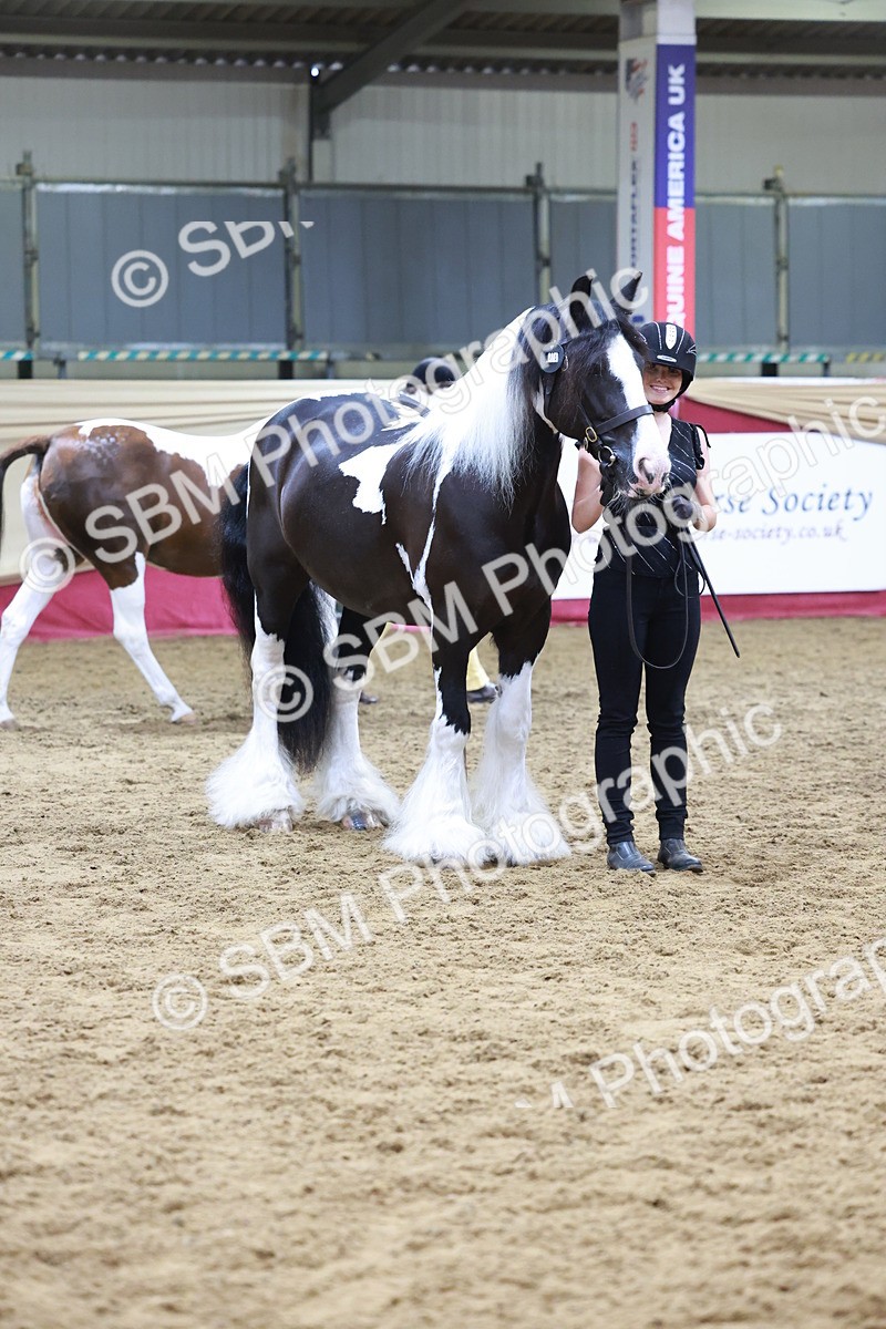 SBM_20129 - Class C - Novalty Champ