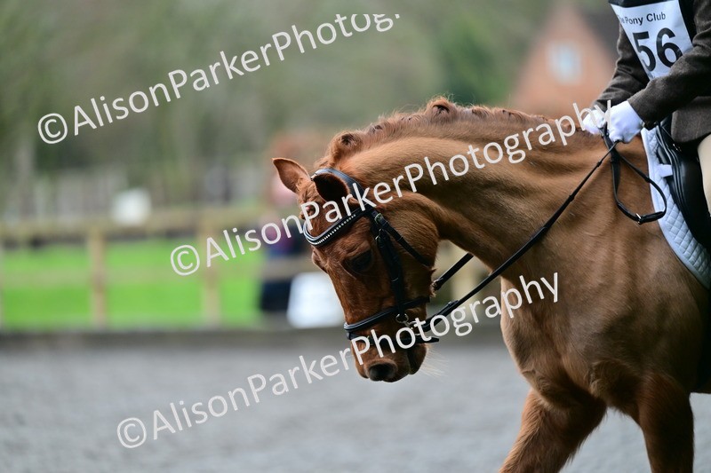 20260125-2427 - Class 11 - Grassroots