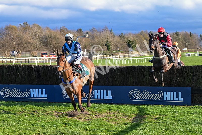 270224-Race 2-Prairie Wolf-3179 - Race 2