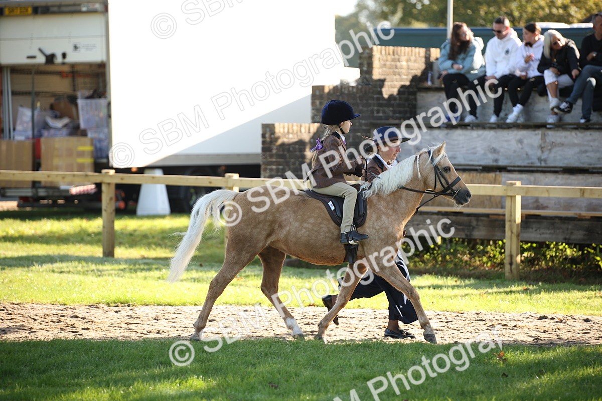 SBM_35683 - S9 - Lead Rein Equitation