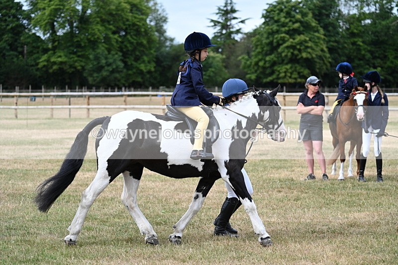 WJ7_9780 - Class 1 Lead Rein Pony