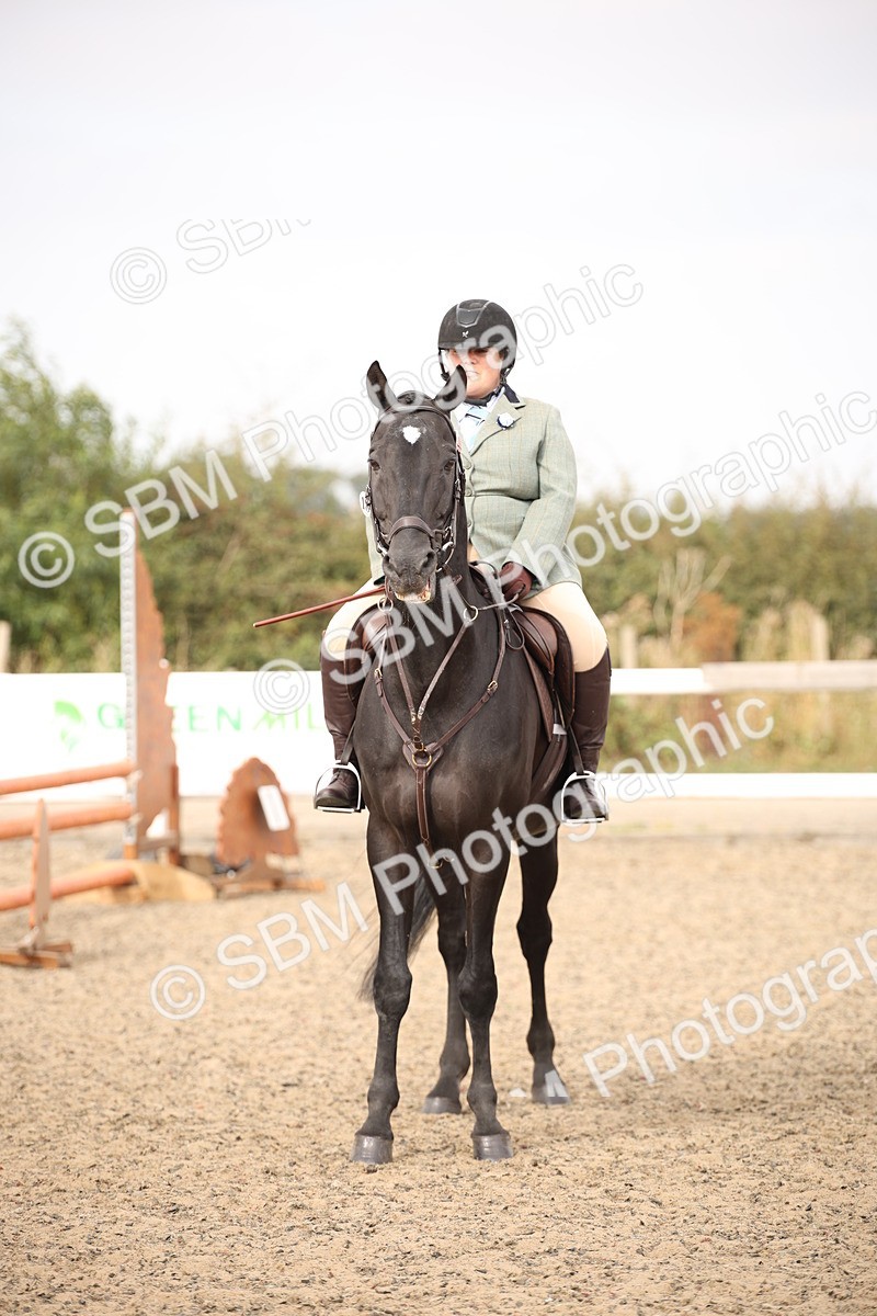 SBM_16230 - Class 409a - Working Veteran 80cm (15-19)