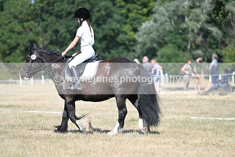 WJ7_9600 - Time 10:32 to 10:55