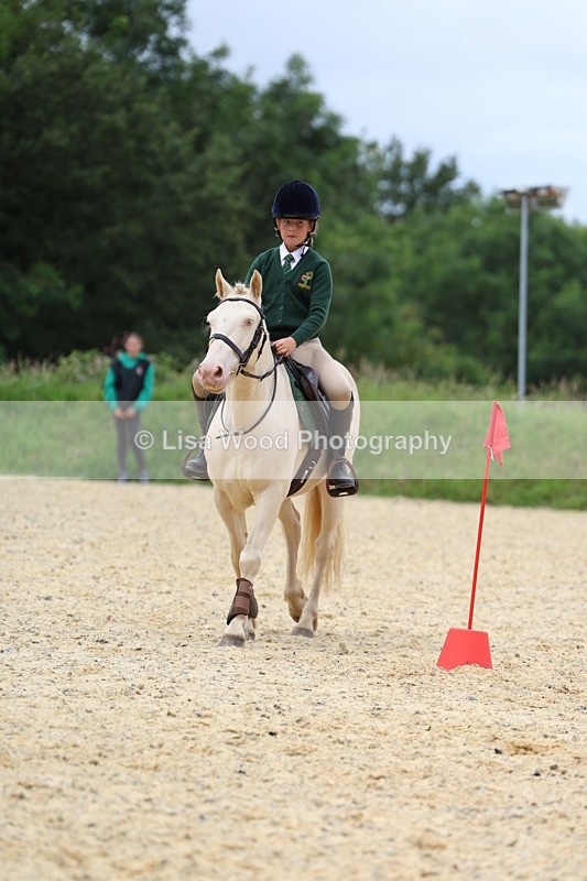 3E7A9316 - Walk trot run