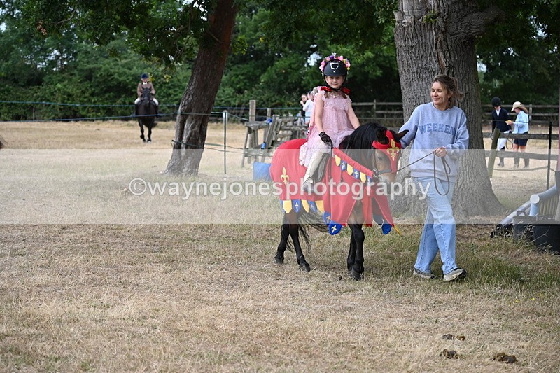 WJ6_8945 - Class 11 Fancy Dress