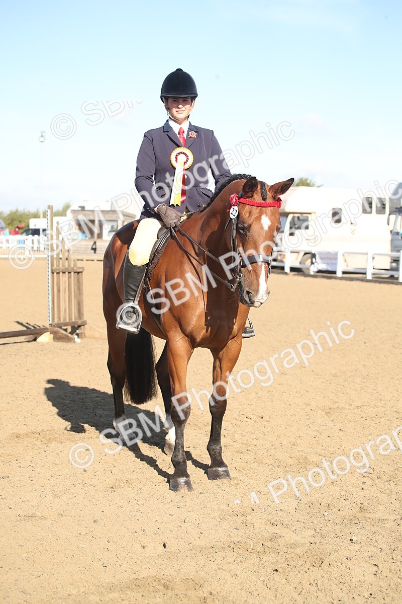 SBM_11352 - Class 501 -Riding Club Pony