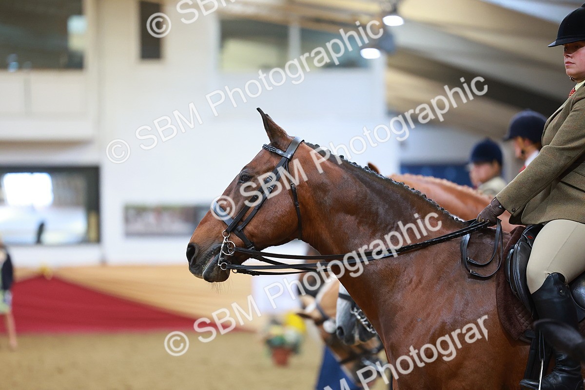 SBM_09454 - Class 102 - HOYS Veteran Qualifier - Ridden Veteran