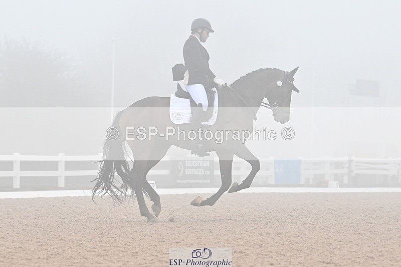 240217A-140950-03368 - 256-Bradley.Moore-Taylor-Ouyuan