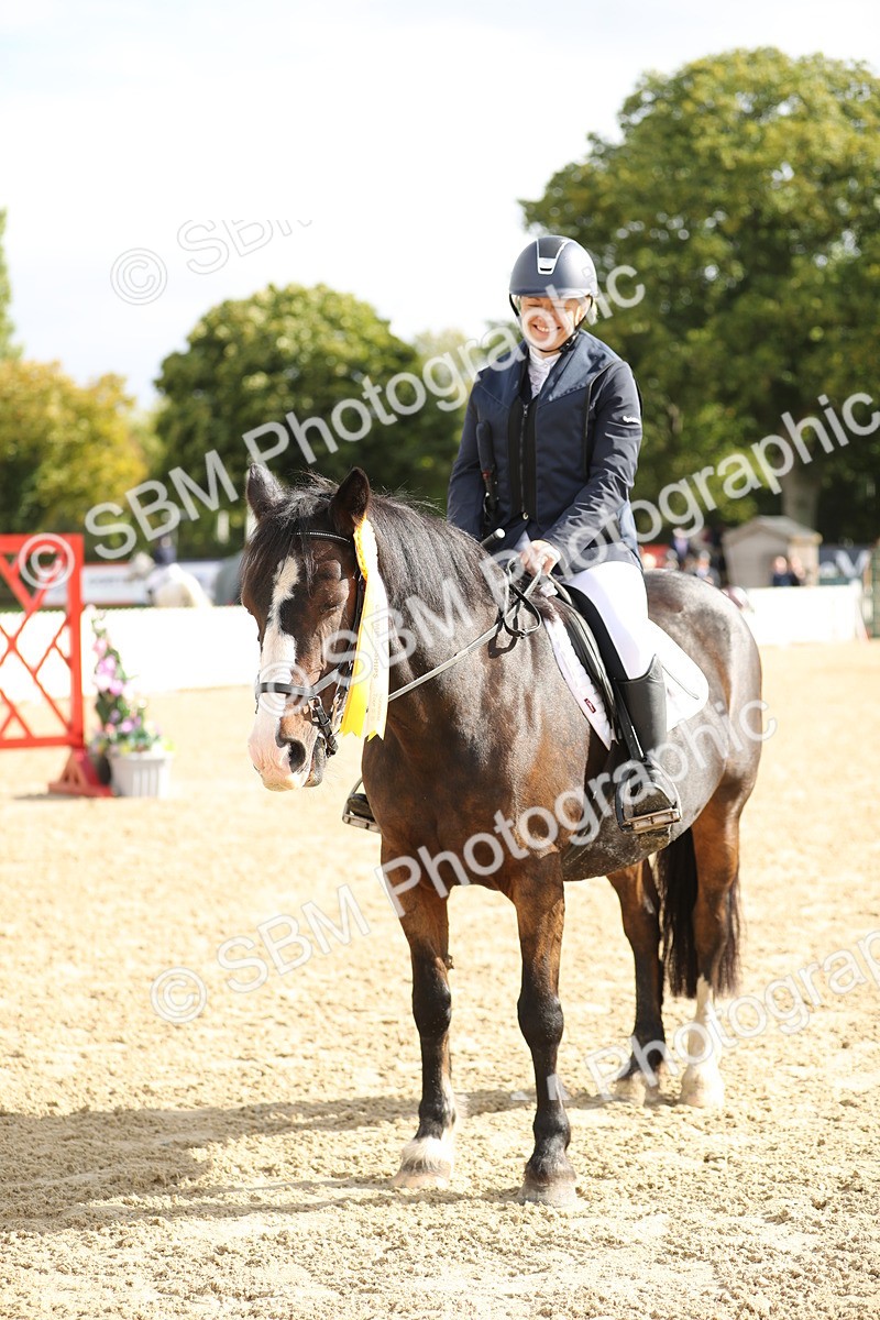 SBM_02052 - J34 - Veteran Rider 50cm