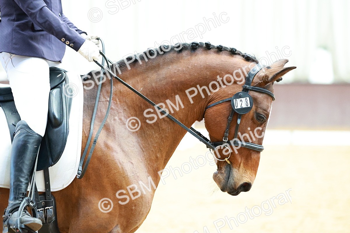 SBM_003441