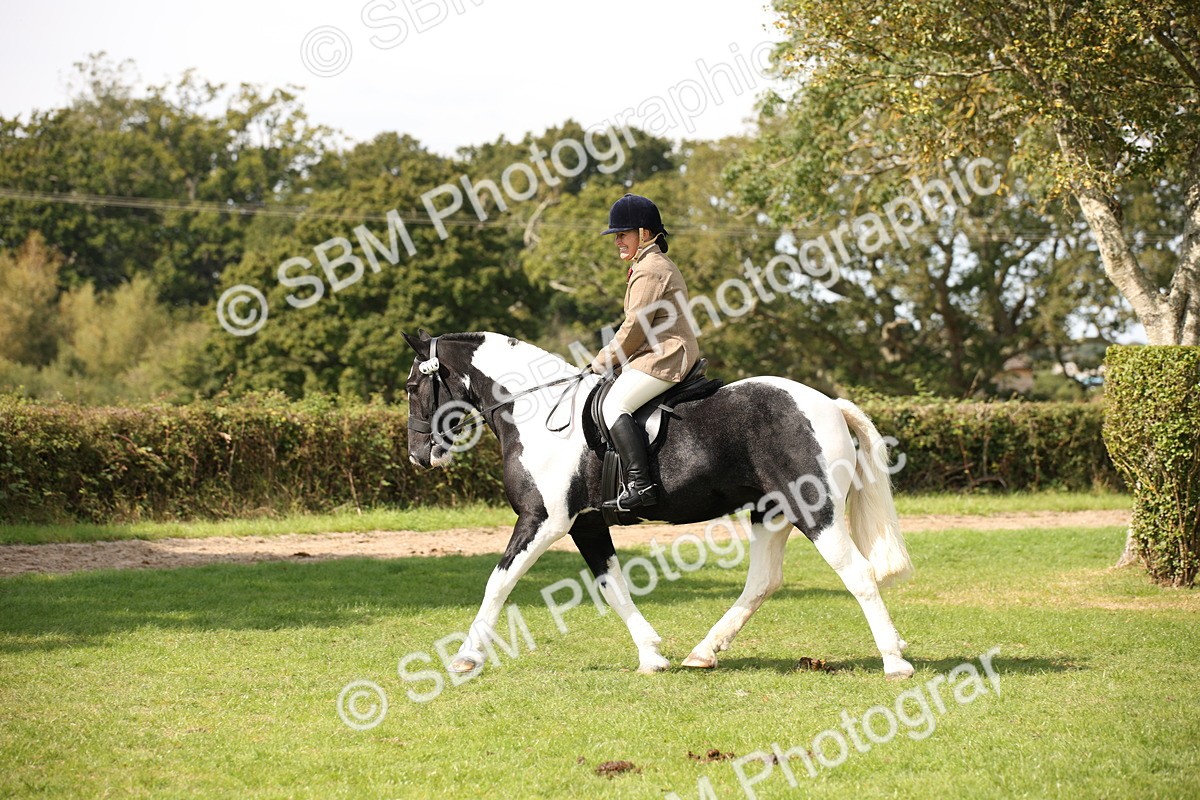 SBM_70088 - S65 - Piebald & Skewbald Horse Ridden