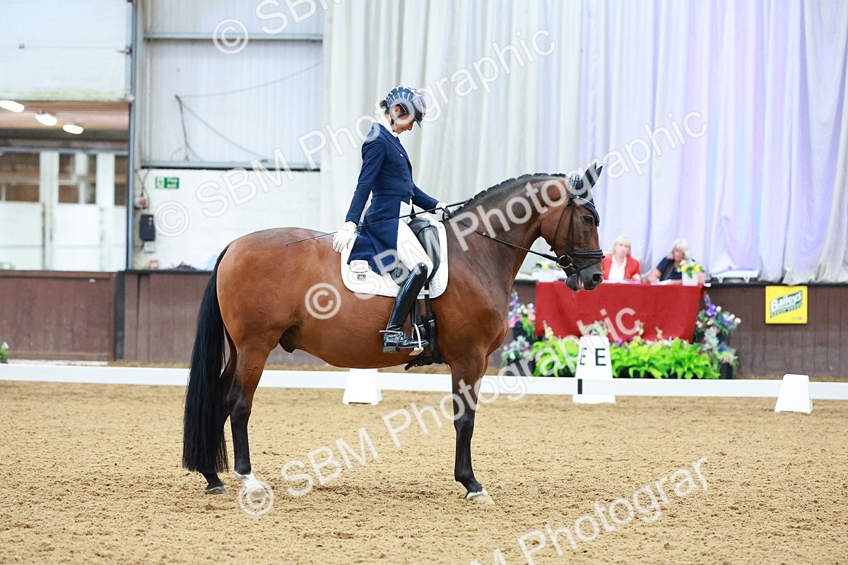 SBM_006151 - Class 7 - FEI INT I
