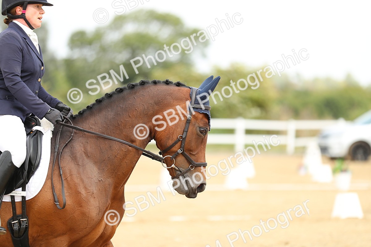 SBM_017334 - Class 13 - Novice 23 - 13.31-14.13