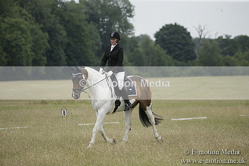 B230619-0638 - Bourne Valley Riding Club Summer Show 23/06/19