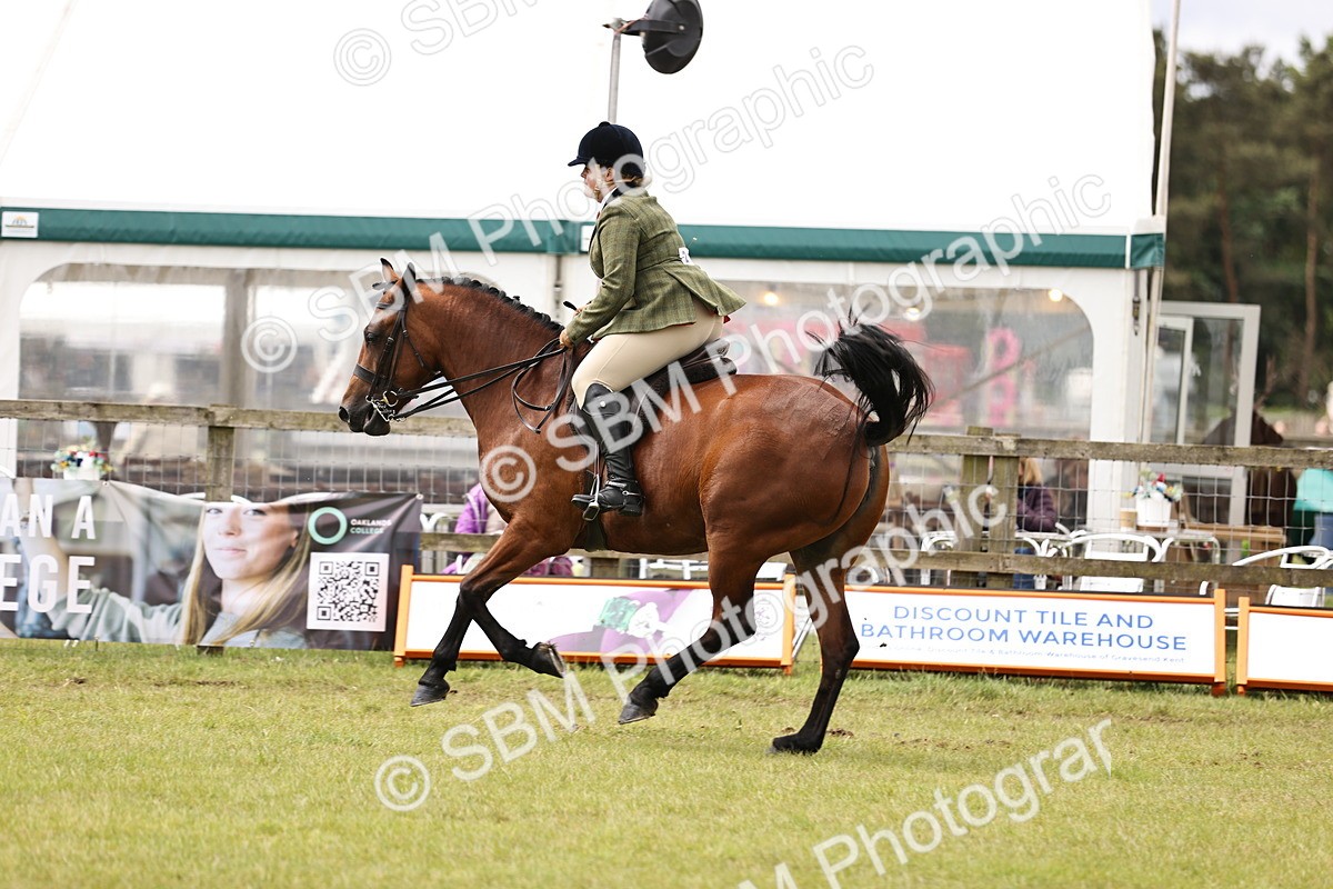 SBM_14599 - Class 88-89 - LIHS BSHA Rising Star of Ridden Hunter Type