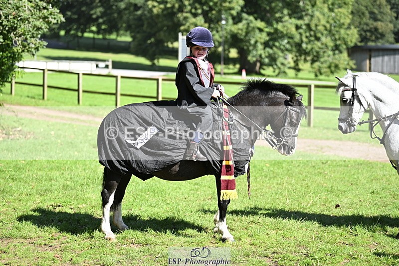 240728B-094704-00141 - Sunday Stable Shots and Fancy Dress