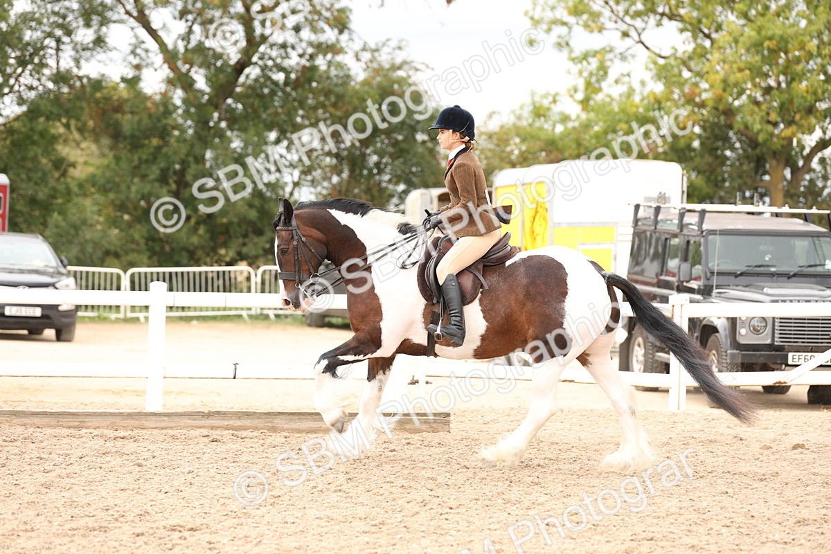 SBM_19682 - Class 216 - Ridden Traditional - Native Cob