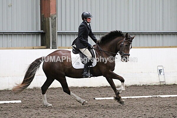 SIAL4671 - CAbin Dressage 5th july 2025