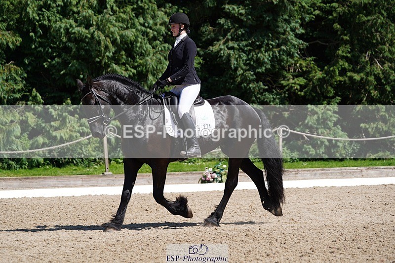 240719-150108-02483 - 274-Paige_Beattie-Orcaber_Dark_Secret