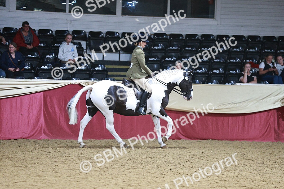 SBM_09104 - Class 12R - Regional Ridden Pre-Vet