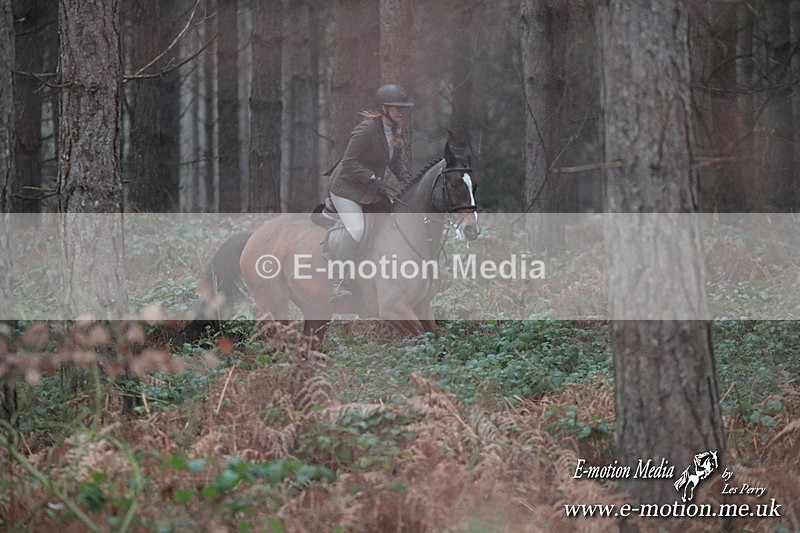HUPY 261224 122 - Pytchley with Woodland Hunt Boxing Day Meet 26th December 2024