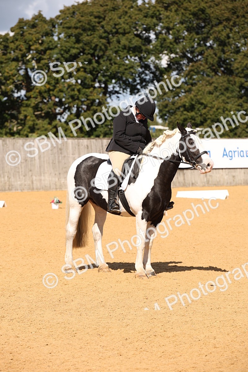 SBM_04336 - D2 Small Tour Championship Intro C