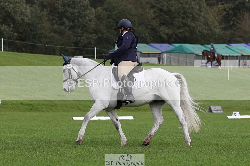 231019-111517-02599 - 610-WESTEND.STEVIE-Marie.Spillane-DR