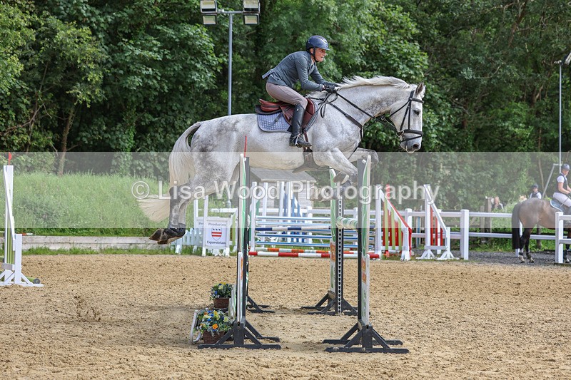 3E7A7583 - Class 9: Senior Foxhunter/1.20 open