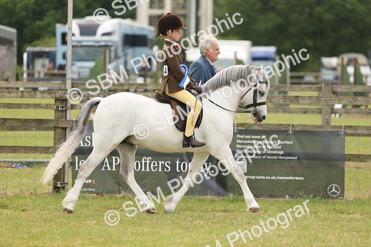 SBM_06965 - Class 74-75 - M&M Lead Rein and First Ridden Pony