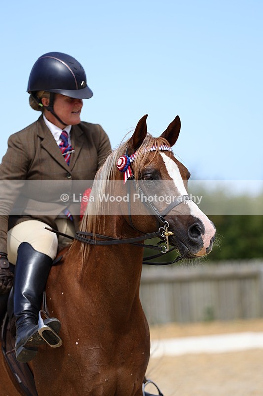 1X9A8378 - Class 13: Arab Ridden