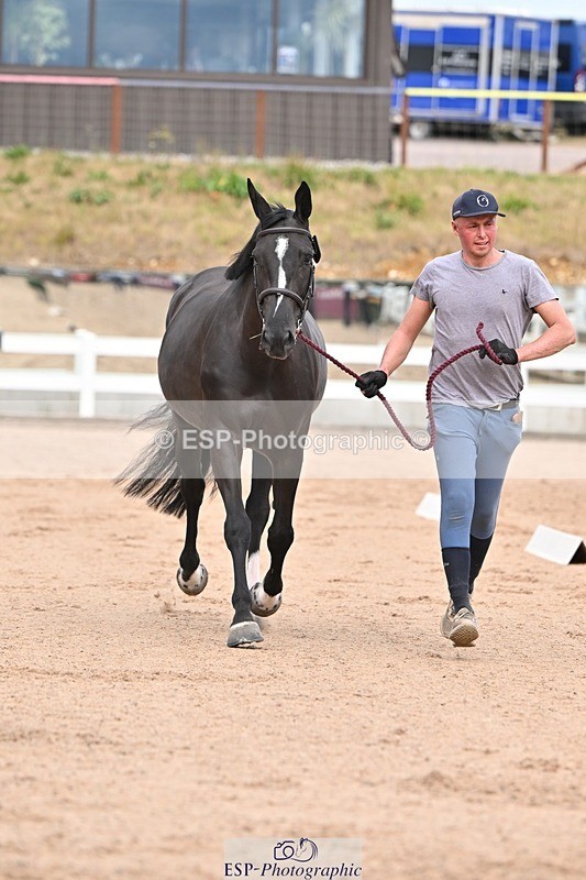 250716-162843-02641 - Trot Up 3.30 to 4.30