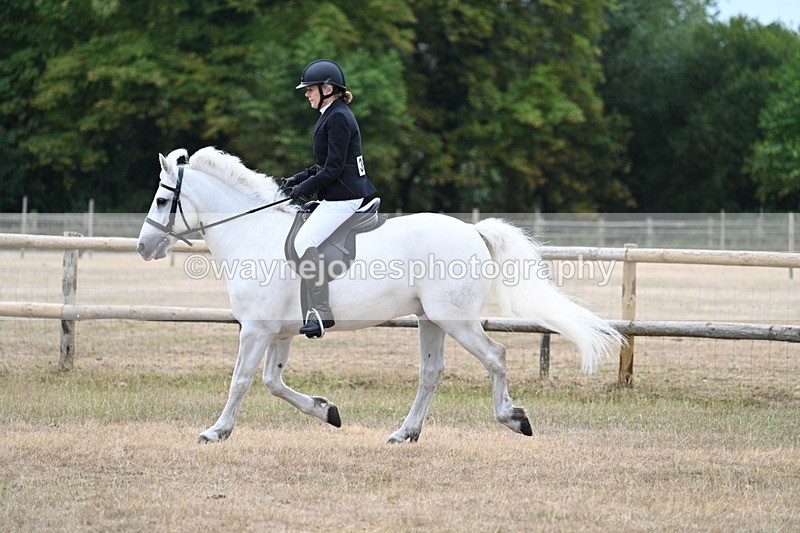 WJ7_0335 - Class 6 Ridden Mountain and Moorland