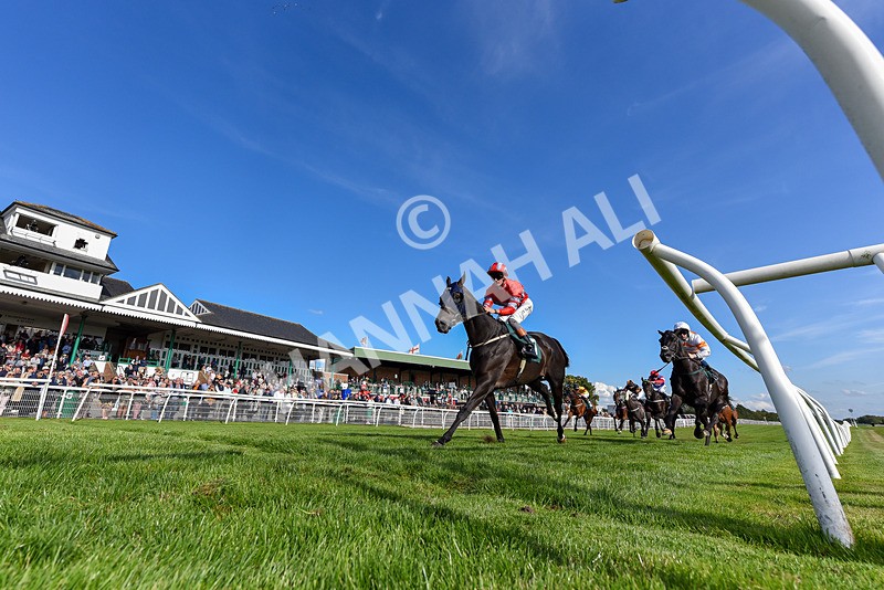 090925-Race 5-Dream Deal-1708 - Race 5