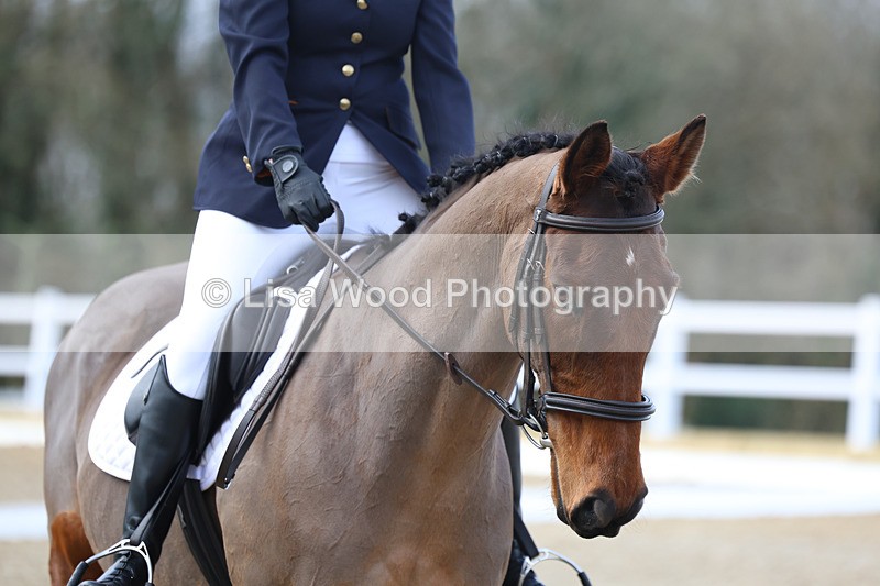 3E7A8934 - Class 2: Intro 1 2024 sec B - part one