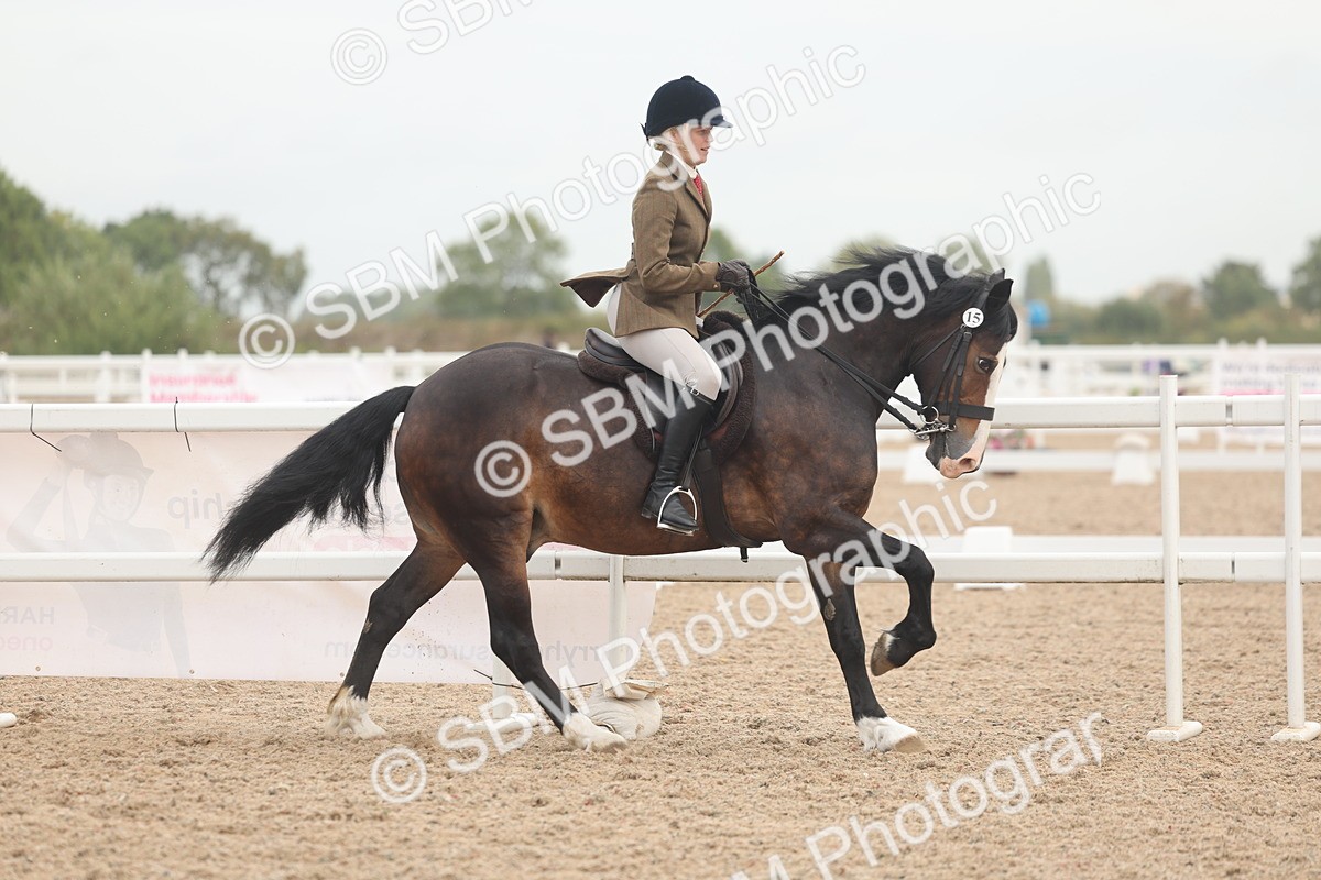 SBM_01895 - Class 14 - Ridden M&M Wildcard