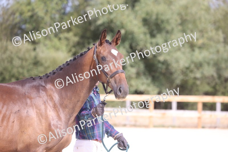 20260802-0843 - Class 9 - Youngstock