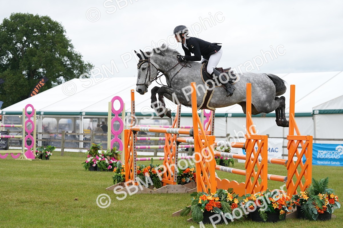 SBM_03127 - Class 201 - British Horse Feeds Speedi Beet Horse of the Year Show Grade  C